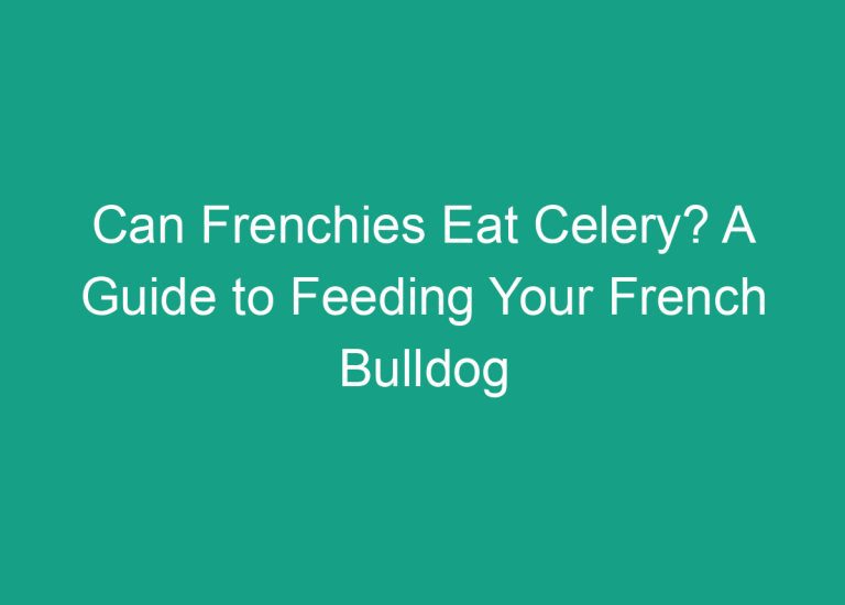 Can Frenchies Eat Celery? A Guide to Feeding Your French Bulldog