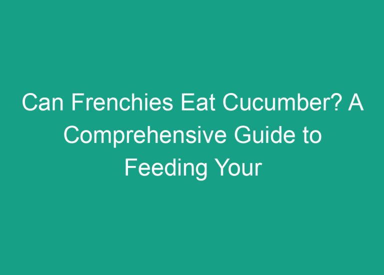 Can Frenchies Eat Cucumber? A Comprehensive Guide to Feeding Your French Bulldog