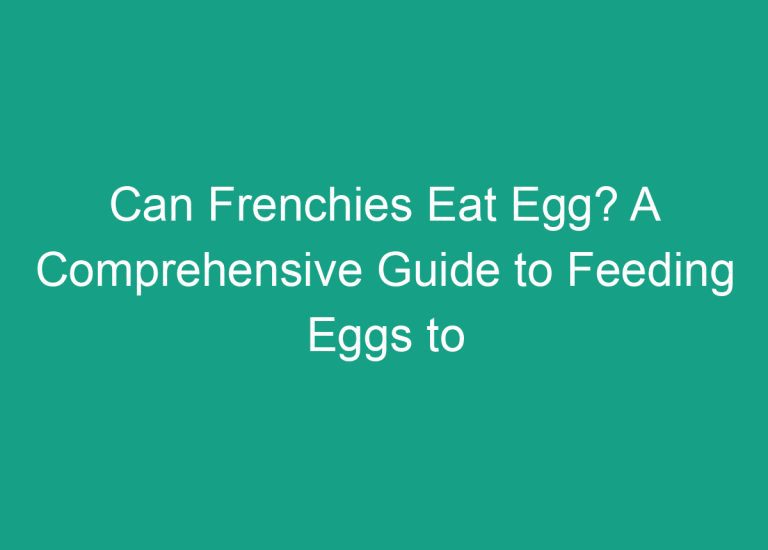 Can Frenchies Eat Egg? A Comprehensive Guide to Feeding Eggs to French Bulldogs