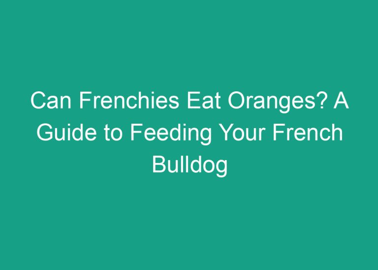 Can Frenchies Eat Oranges? A Guide to Feeding Your French Bulldog