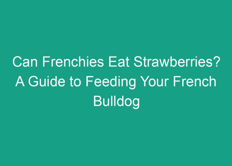 Can Frenchies Eat Strawberries? A Guide to Feeding Your French Bulldog