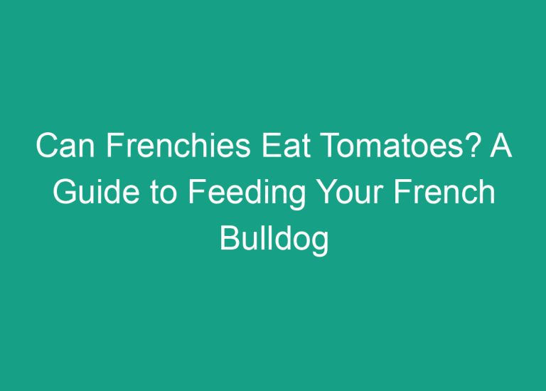 Can Frenchies Eat Tomatoes? A Guide to Feeding Your French Bulldog
