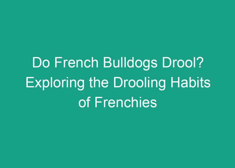 Do French Bulldogs Drool? Exploring the Drooling Habits of Frenchies