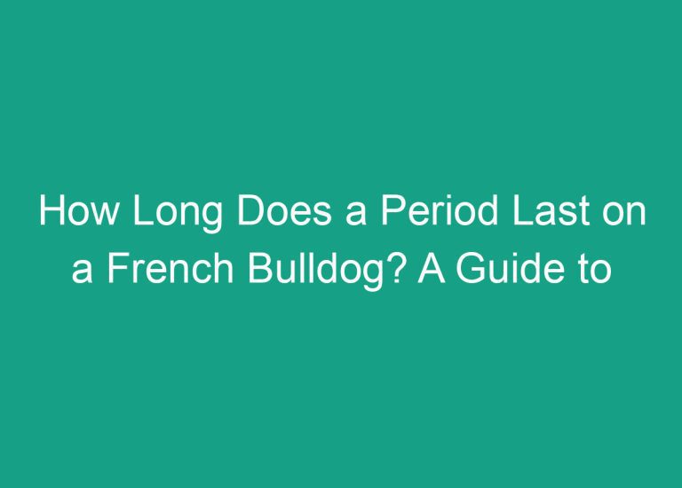 How Long Does a Period Last on a French Bulldog? A Guide to Understanding Your Dog’s Heat Cycle