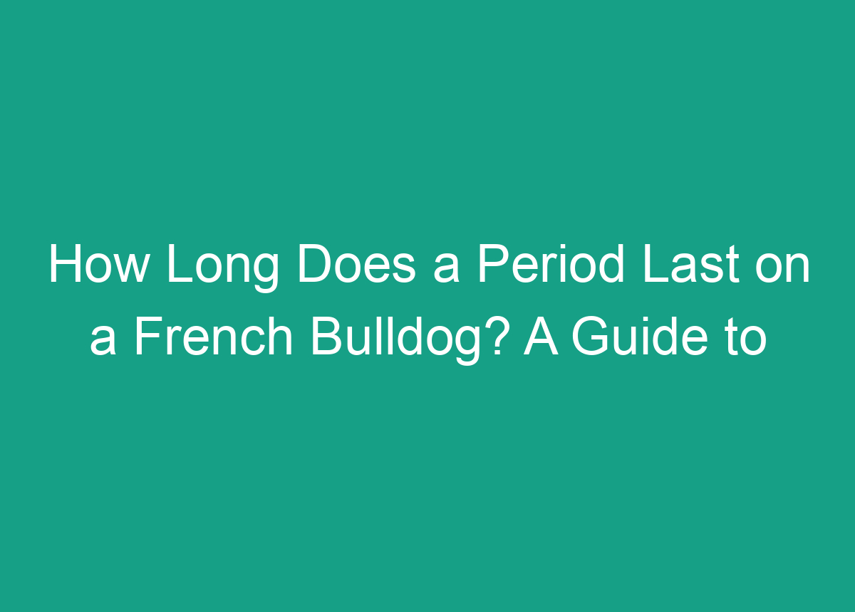 how-long-does-a-period-last-on-a-french-bulldog-a-guide-to