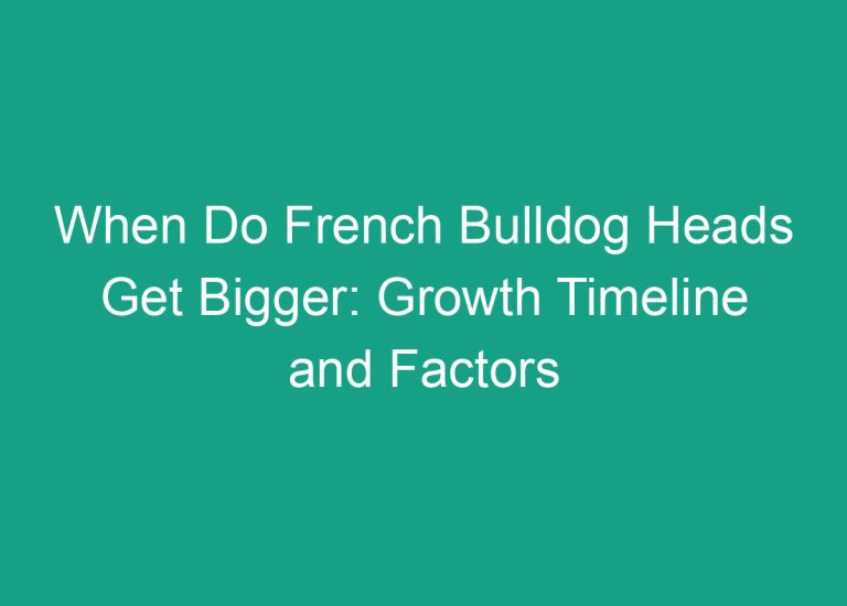 When Do French Bulldog Heads Get Bigger: Growth Timeline and Factors