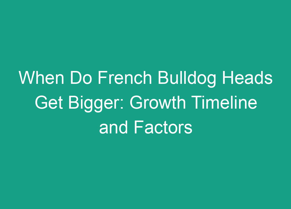 When Do French Bulldog Heads Get Bigger: Growth Timeline And Factors