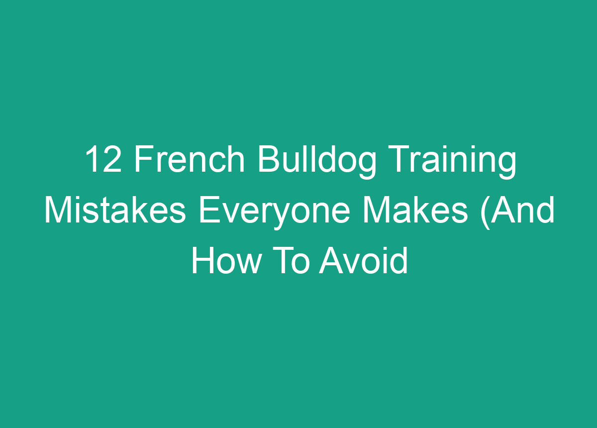 12 French Bulldog Training Mistakes Everyone Makes (And How To Avoid Them)