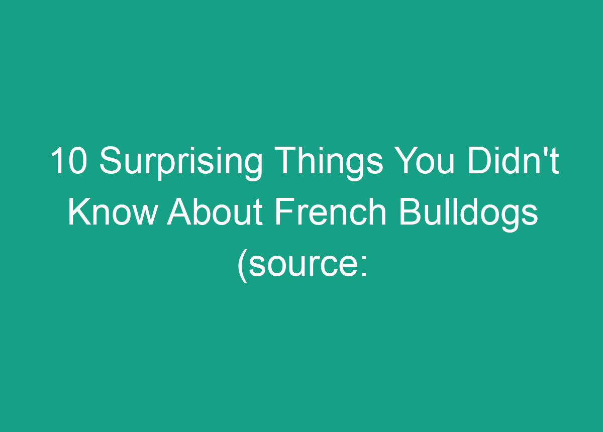 10 Surprising Things You Didn't Know About French Bulldogs