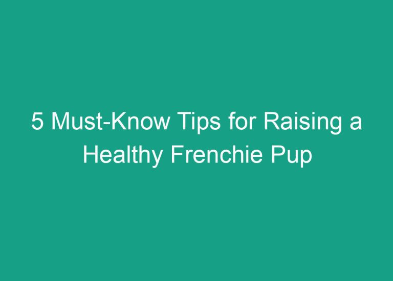 5 Must-Know Tips for Raising a Healthy Frenchie Pup