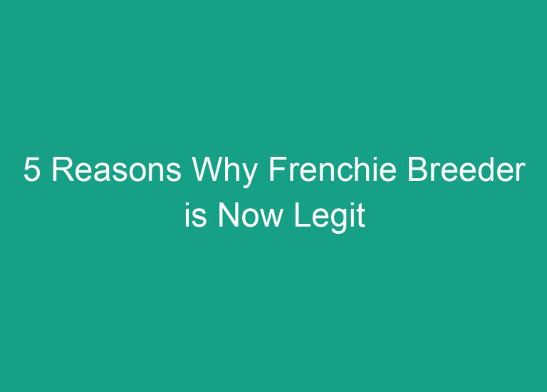 5 Reasons Why Frenchie Breeder is Now Legit