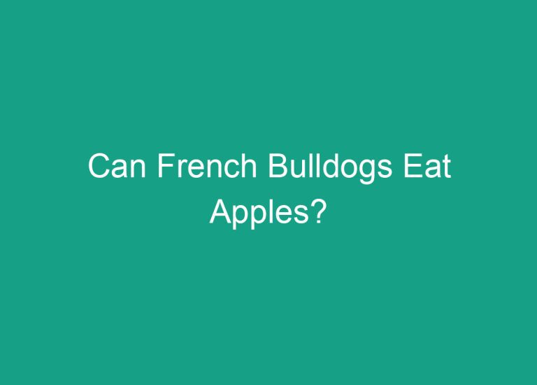 Can French Bulldogs Eat Apples?
