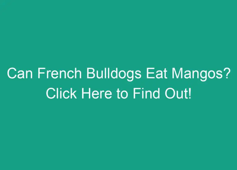 Can French Bulldogs Eat Mangos? Click Here to Find Out!