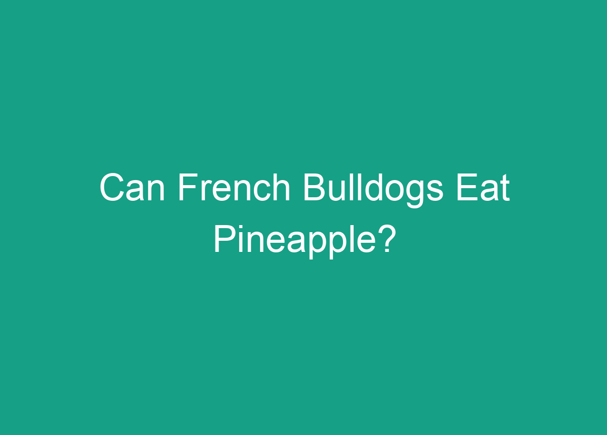 Can French Bulldogs Eat Pineapple?
