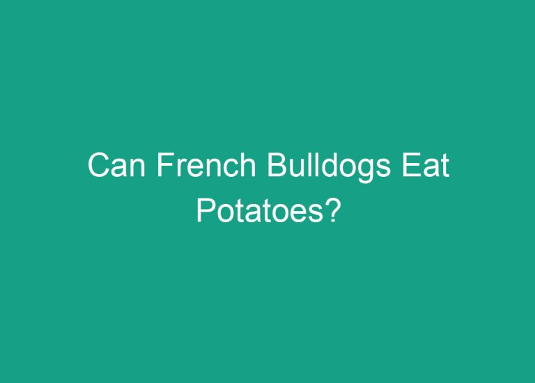 Can French Bulldogs Eat Potatoes?