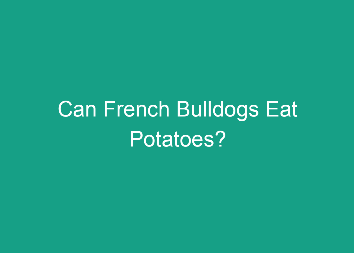 Can French Bulldogs Eat Potatoes?