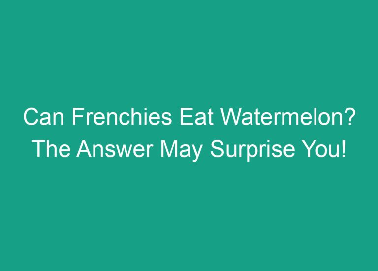 Can Frenchies Eat Watermelon? The Answer May Surprise You!