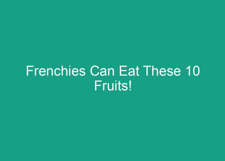 Frenchies Can Eat These 10 Fruits!