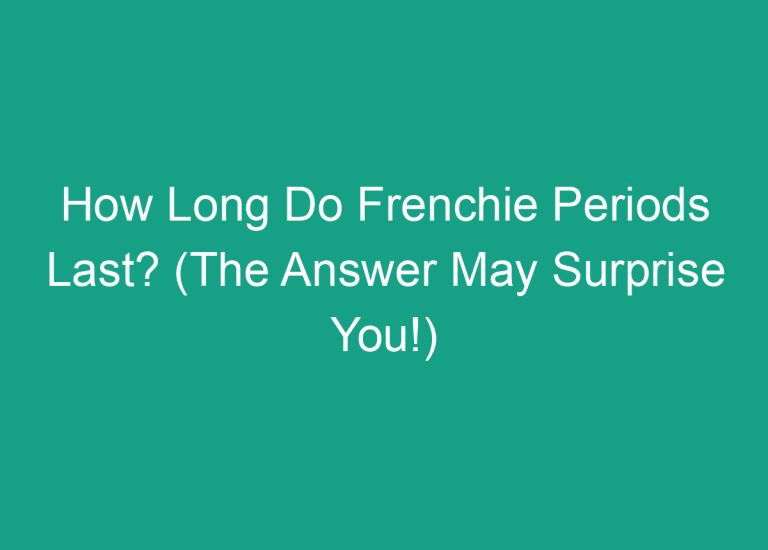How Long Do Frenchie Periods Last? (The Answer May Surprise You!)
