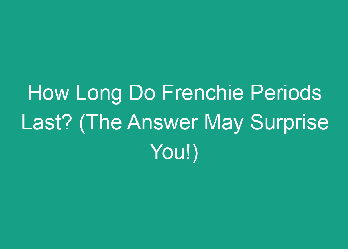 how-long-do-frenchie-periods-last-the-answer-may-surprise-you