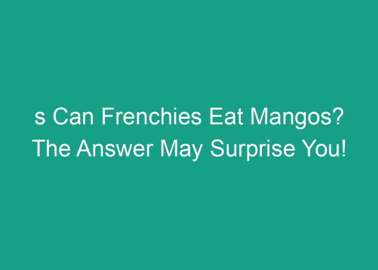 s Can Frenchies Eat Mangos? The Answer May Surprise You!