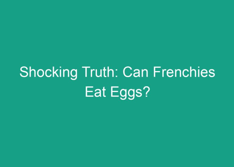 Shocking Truth: Can Frenchies Eat Eggs?