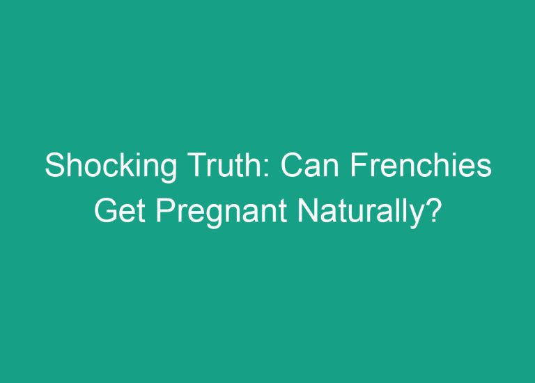 Shocking Truth: Can Frenchies Get Pregnant Naturally?