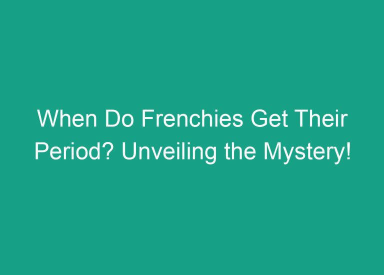 When Do Frenchies Get Their Period? Unveiling the Mystery!