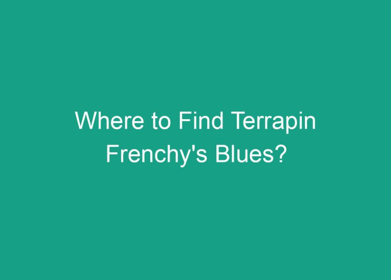 Where to Find Terrapin Frenchy’s Blues?