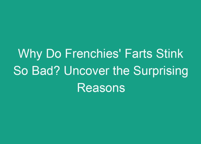 Why Do Frenchies’ Farts Stink So Bad? Uncover the Surprising Reasons Now!