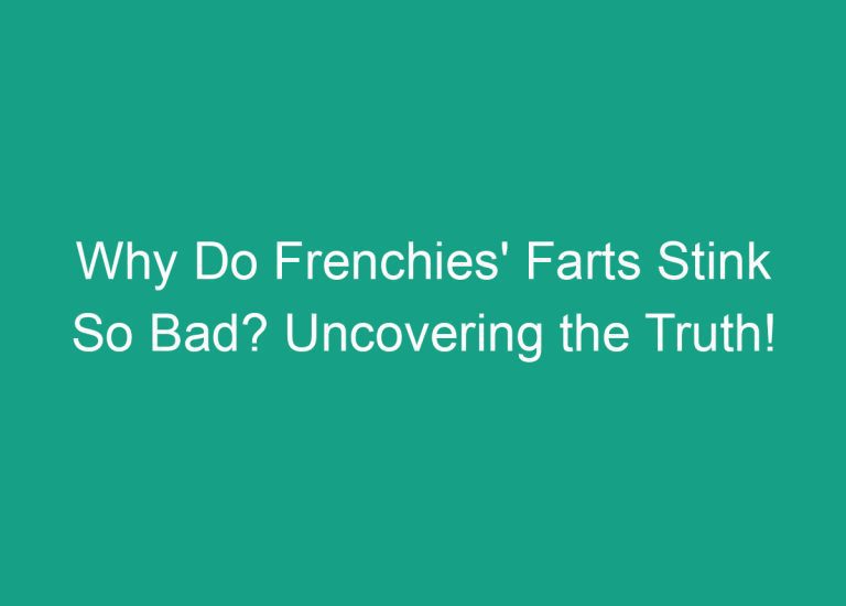 Why Do Frenchies’ Farts Stink So Bad? Uncovering the Truth!