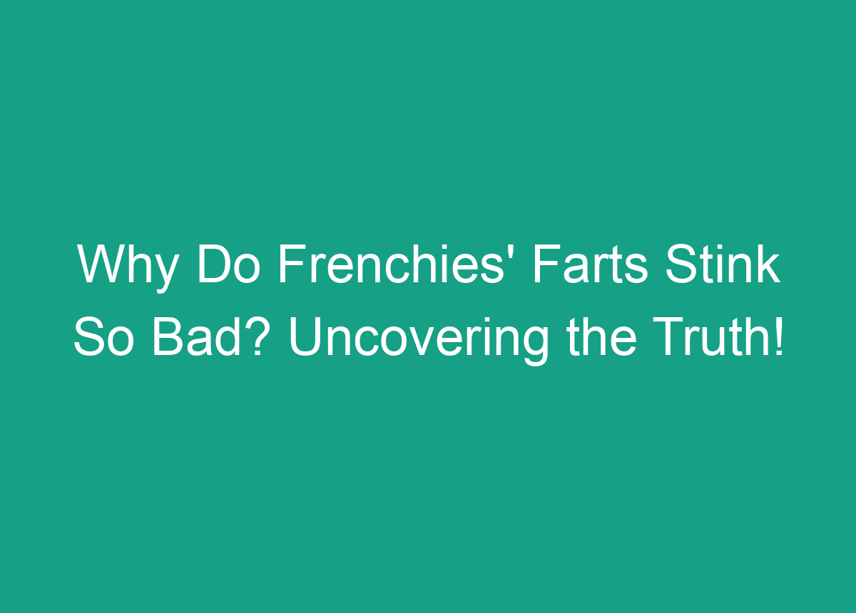 Why Do Frenchies