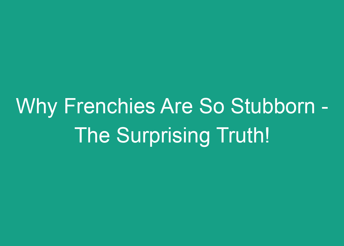 Why Frenchies Are So Stubborn The Surprising Truth!