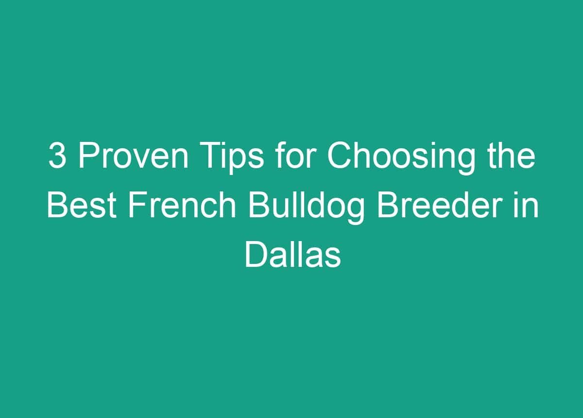 3 Proven Tips For Choosing The Best French Bulldog Breeder In Dallas TX
