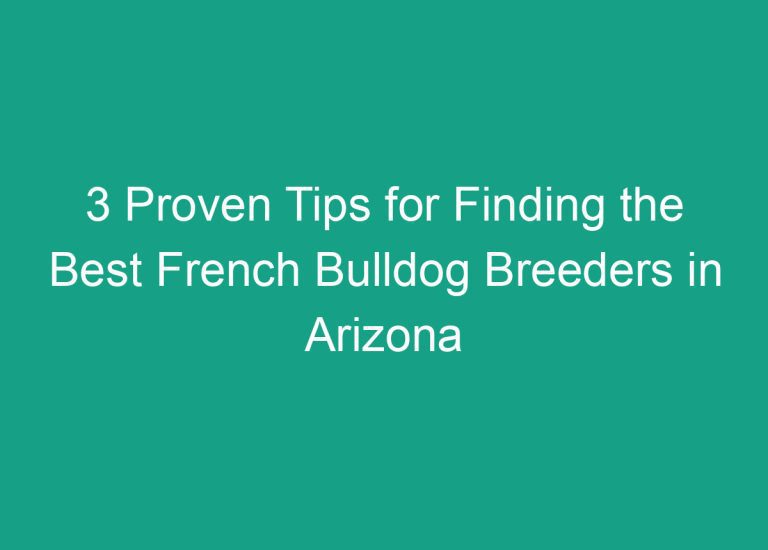 3 Proven Tips for Finding the Best French Bulldog Breeders in Arizona