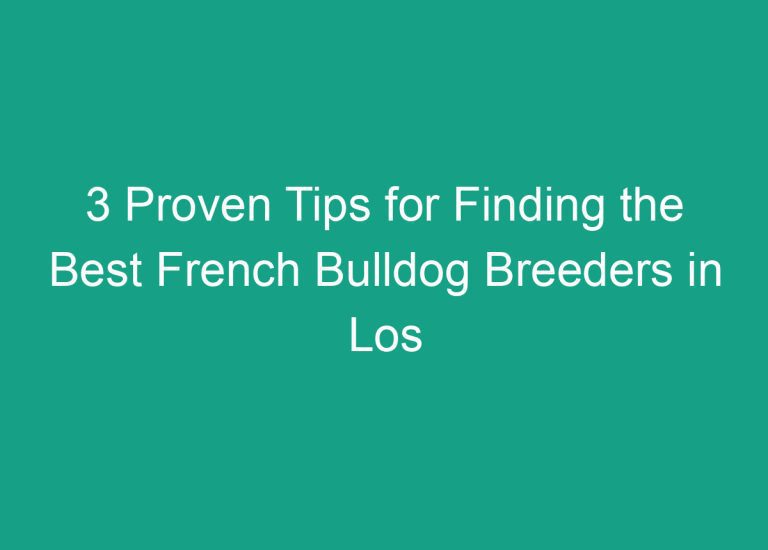 3 Proven Tips for Finding the Best French Bulldog Breeders in Los Angeles