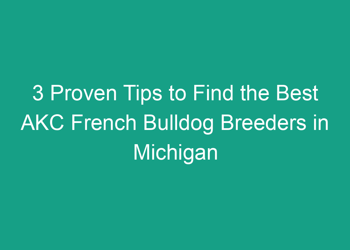 3 Proven Tips To Find The Best AKC French Bulldog Breeders In Michigan