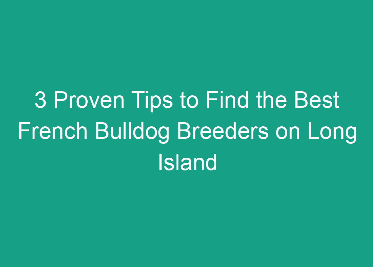 3 Proven Tips To Find The Best French Bulldog Breeders On Long Island