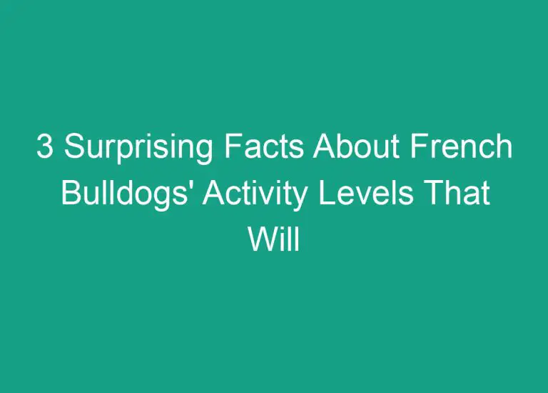 3 Surprising Facts About French Bulldogs’ Activity Levels That Will Change Your Mind