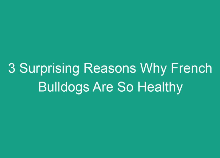 3 Surprising Reasons Why French Bulldogs Are So Healthy