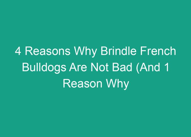 4 Reasons Why Brindle French Bulldogs Are Not Bad (And 1 Reason Why They’re Actually Great)