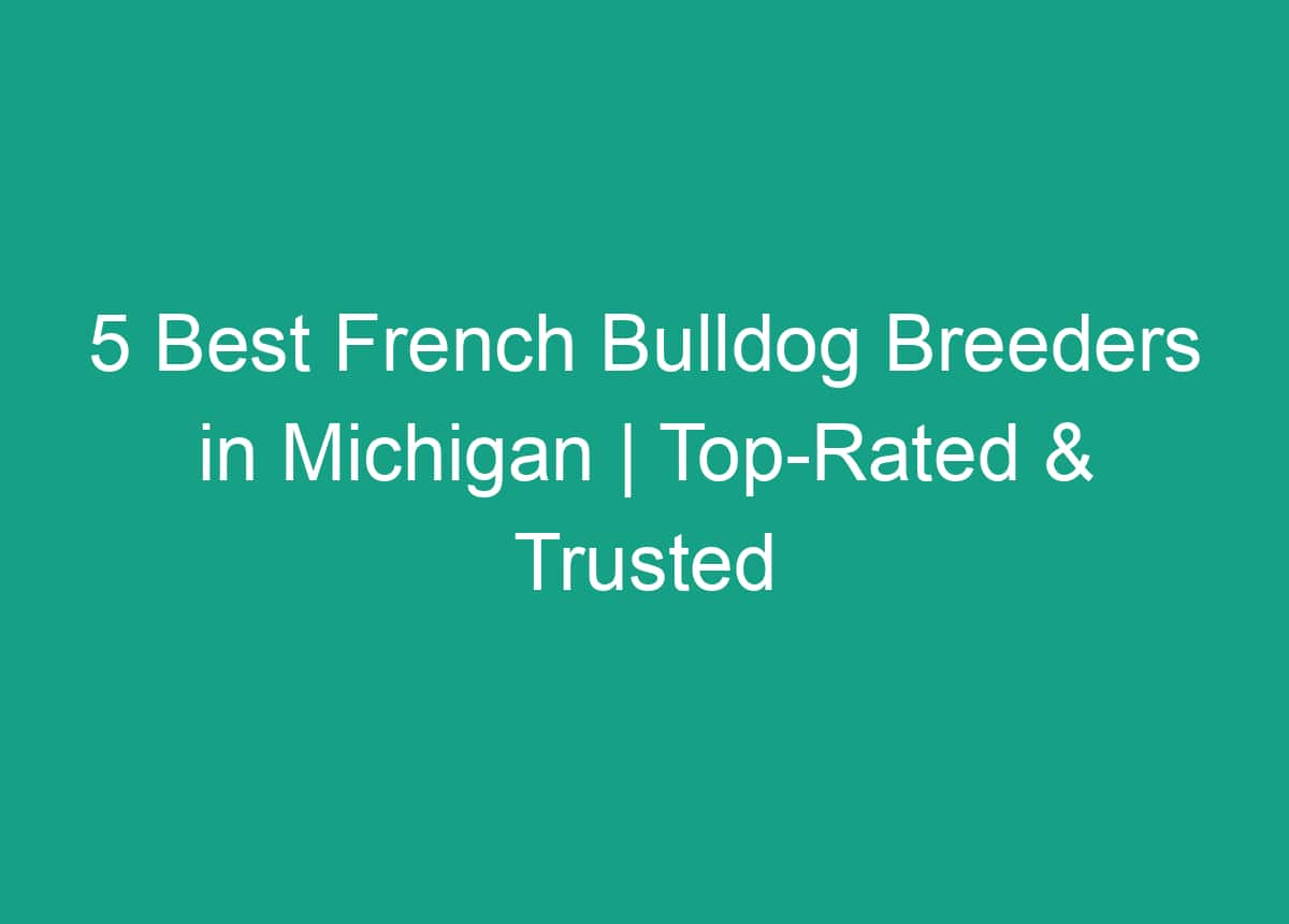 Best French Bulldog Breeders In Michigan: Top Picks For Quality Puppies
