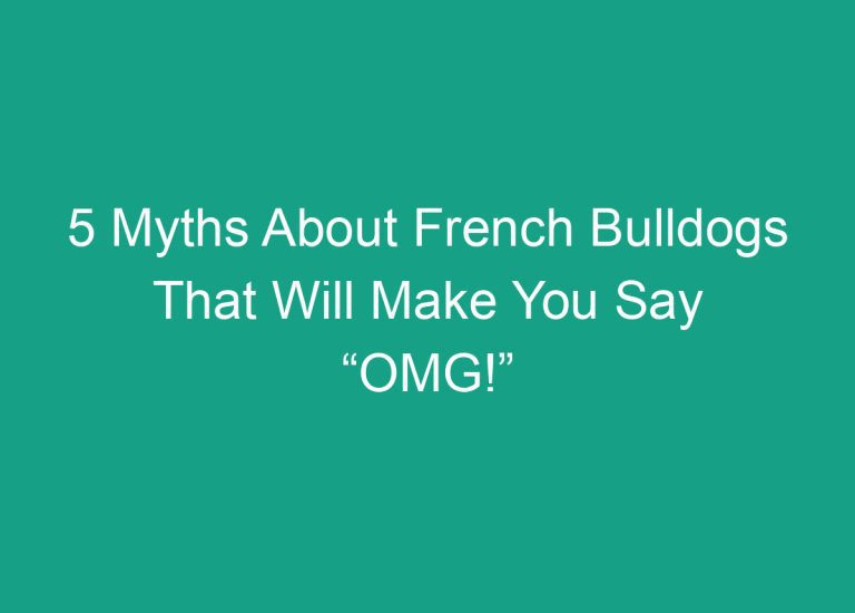5 Myths About French Bulldogs That Will Make You Say “OMG!”