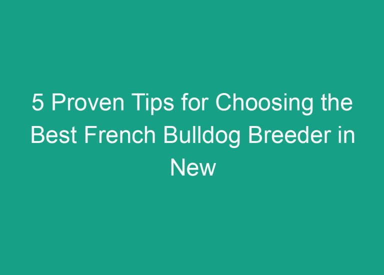 5 Proven Tips for Choosing the Best French Bulldog Breeder in New Jersey