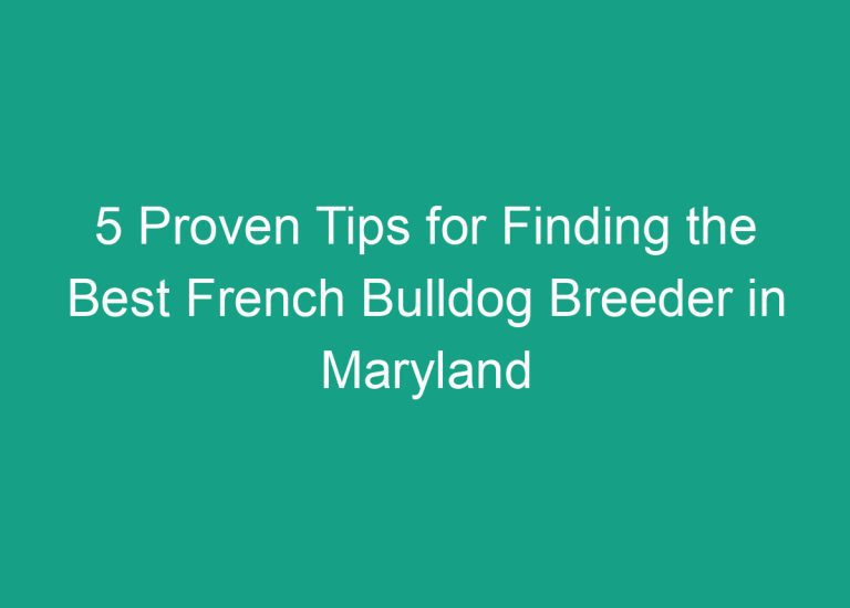 5 Proven Tips for Finding the Best French Bulldog Breeder in Maryland