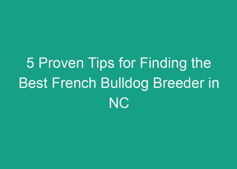 5 Proven Tips for Finding the Best French Bulldog Breeder in NC