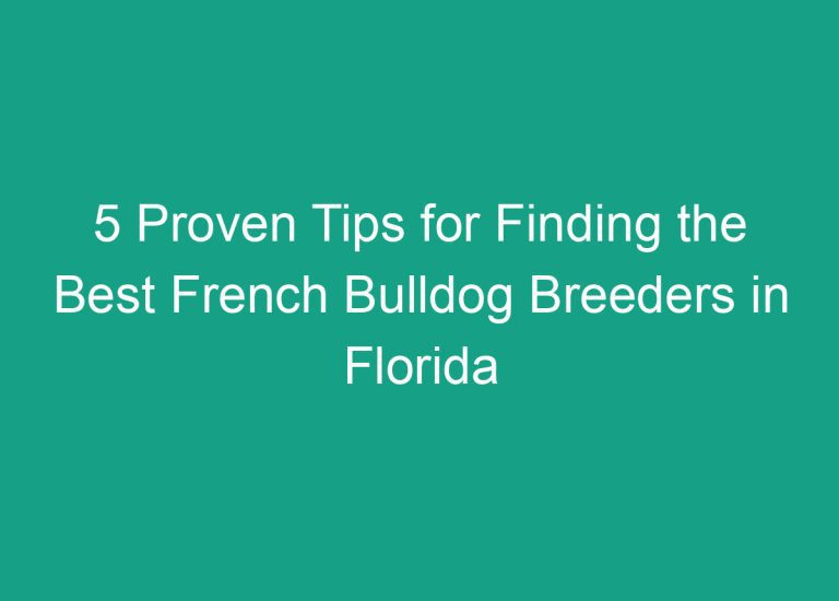 5 Proven Tips for Finding the Best French Bulldog Breeders in Florida