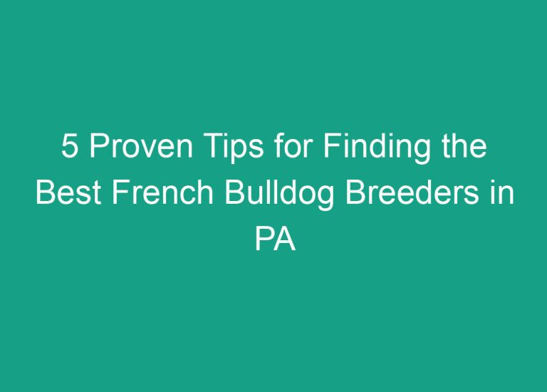 5 Proven Tips for Finding the Best French Bulldog Breeders in PA