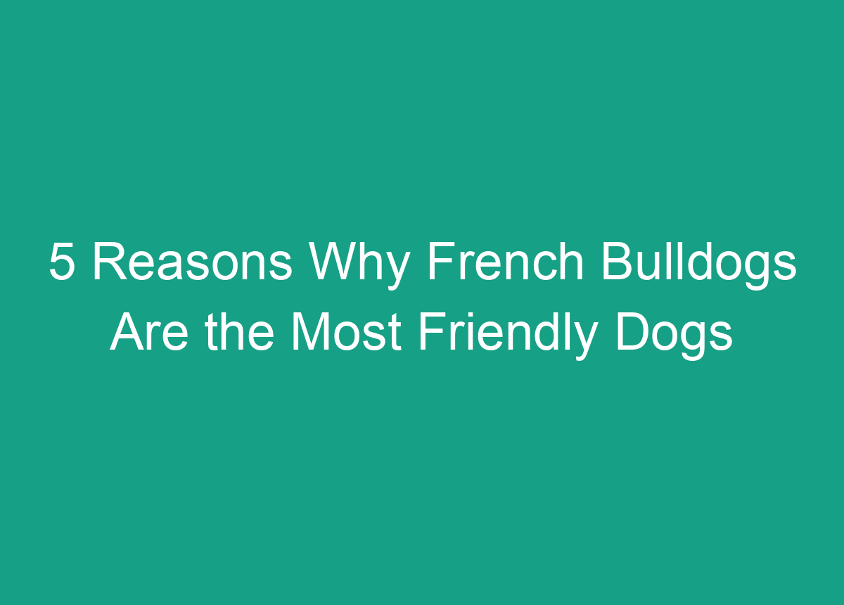 5 Reasons Why French Bulldogs Are The Most Friendly Dogs