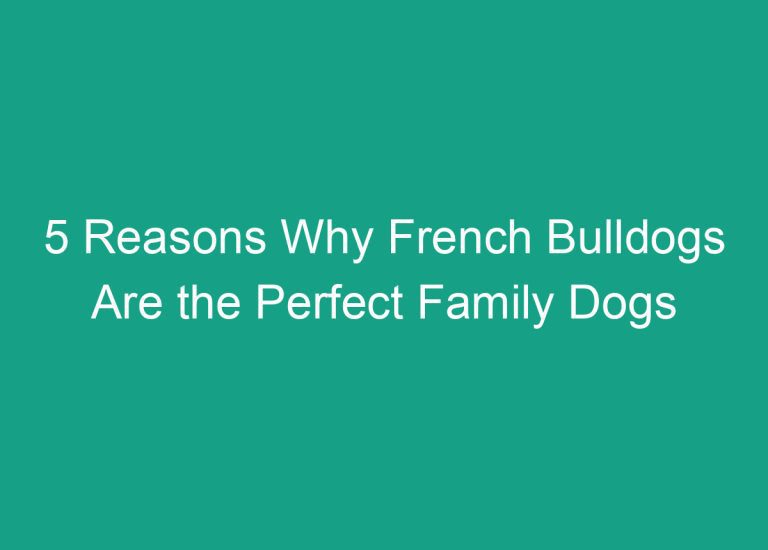 5 Reasons Why French Bulldogs Are the Perfect Family Dogs